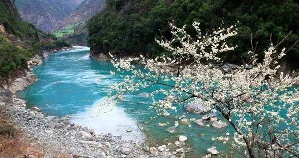 小镇惊魂