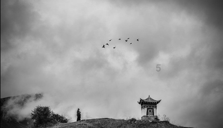 矿工打地鼠