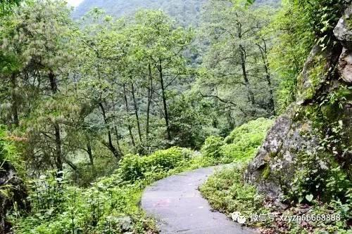 全国第一!聊城市城市信用综合指数排名再创历史新高