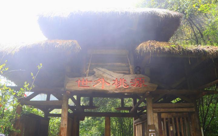 烫伤之后怎么处理比较好呢？游戏画面
