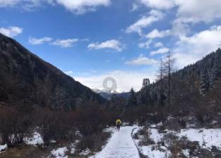 武斗纹章2初篇