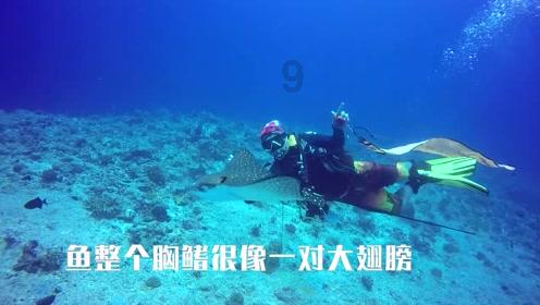 工作回顾丨建诤言谋良策出实招 助力打造世界级数控机床产业集群