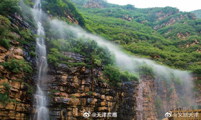 海盐新增一位省级“名中医”，是她→