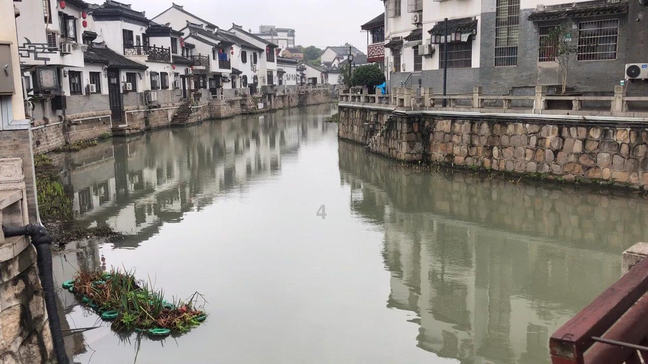 什么品种的香蕉最好吃游戏画面
