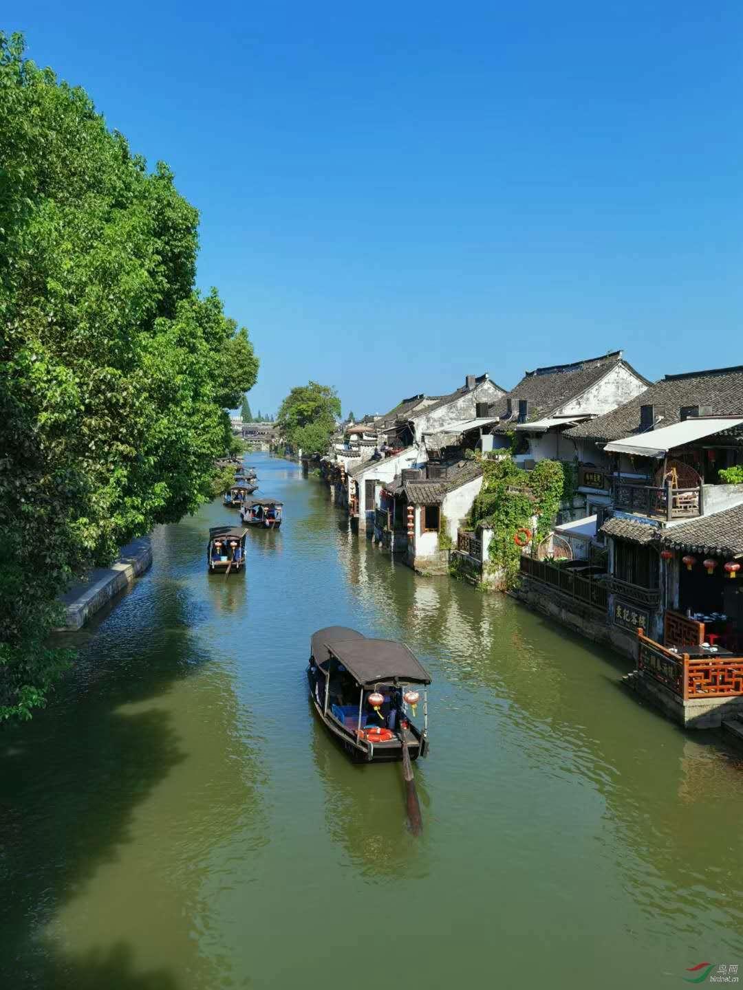 木心的《素履之往》中有很多发人深省的句子，最让你印象深刻的有哪些？