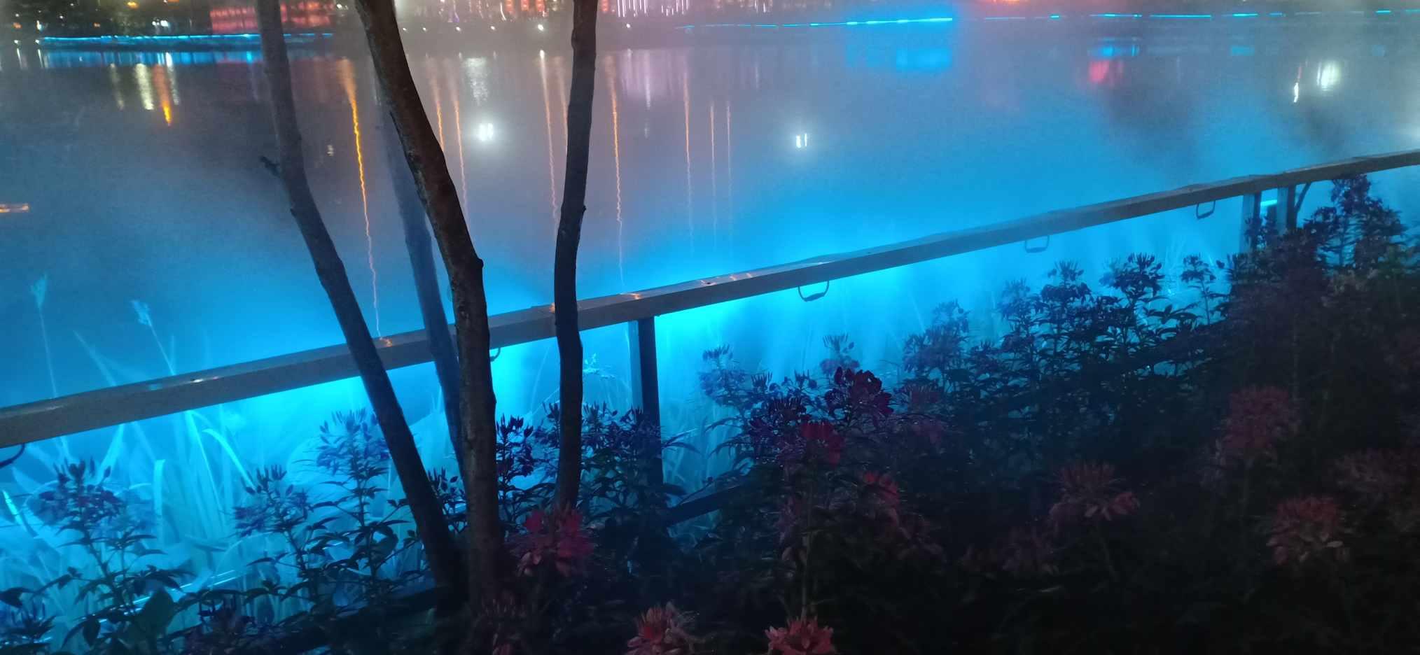 为什么我跟我的好朋友越来越疏远了呢？游戏画面