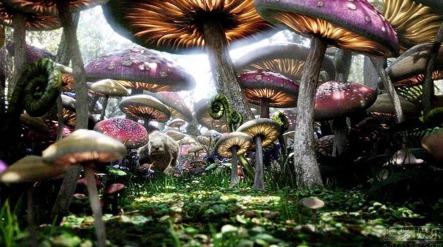 【卫健要闻】2024年全省卫生健康暨中医药工作会议召开